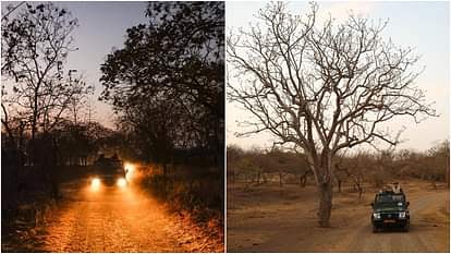 PM Modi Lion Safari 